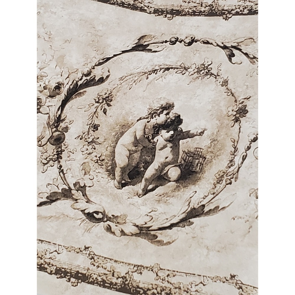 York Wallcoverings Cherub Floral Wallpaper Border Sepia 2 Spools CL9519B R-01